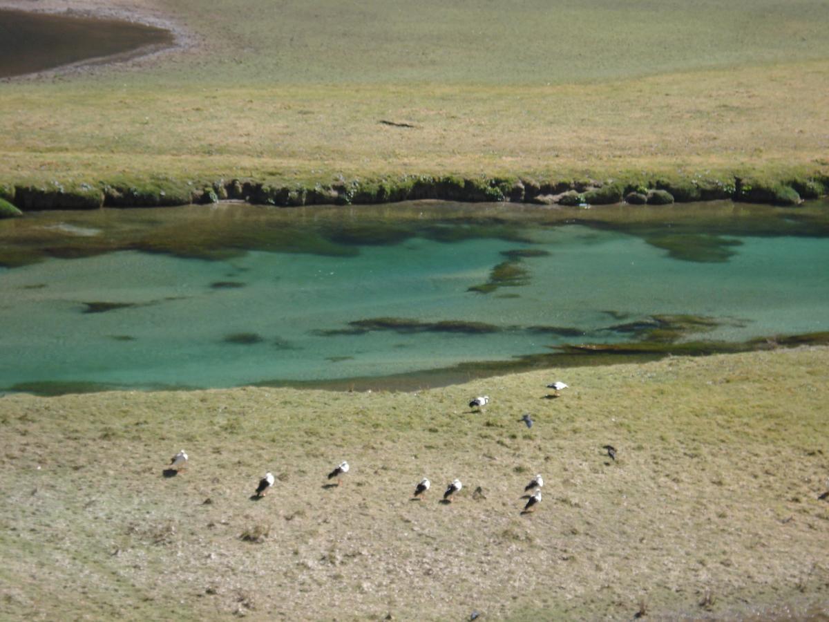 Yauyos Lodge 外观 照片